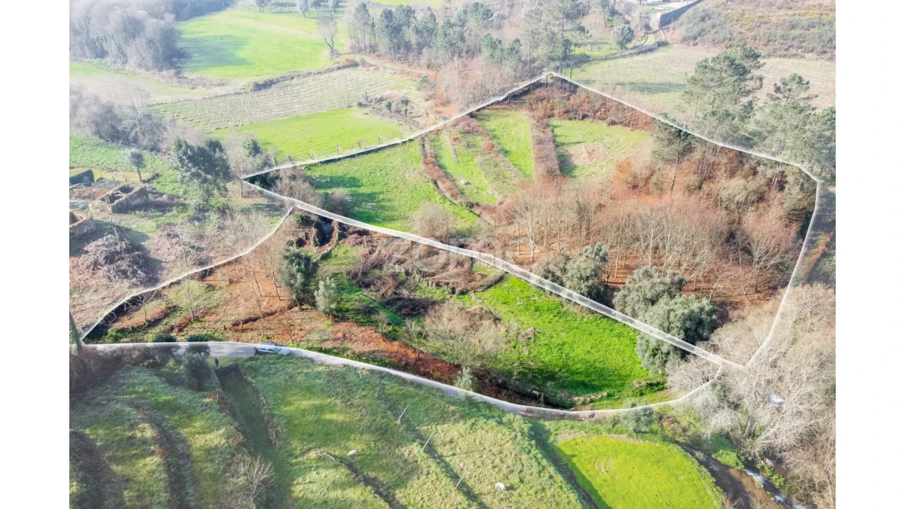 Terreno para Venda em Navió e Vitorino dos Piães Foto 4