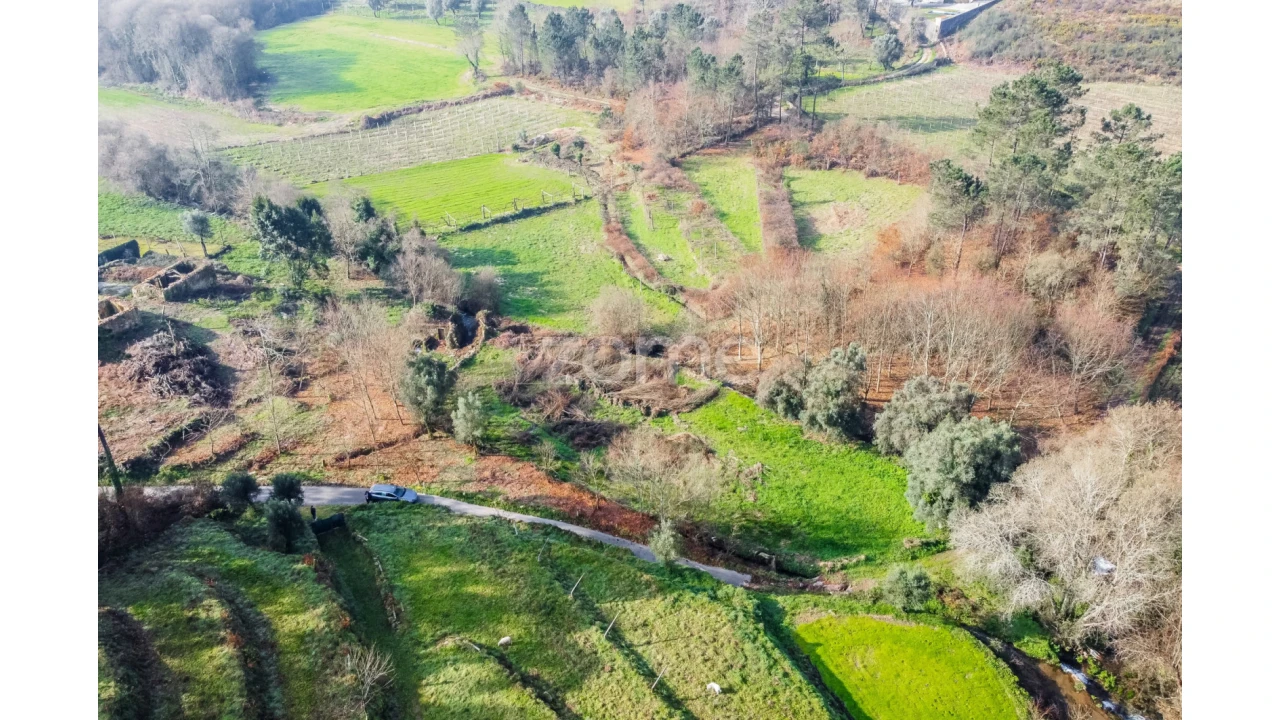 Terreno para Venda em Navió e Vitorino dos Piães Foto 7