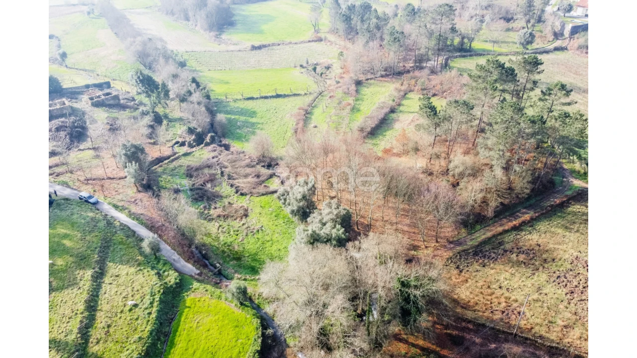 Terreno para Venda em Navió e Vitorino dos Piães Foto 6