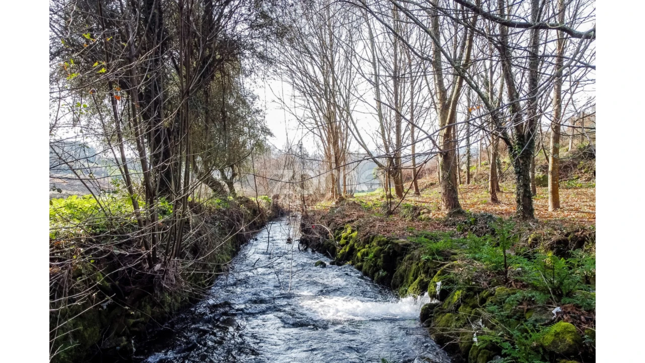 Terreno para Venda em Navió e Vitorino dos Piães Foto 12