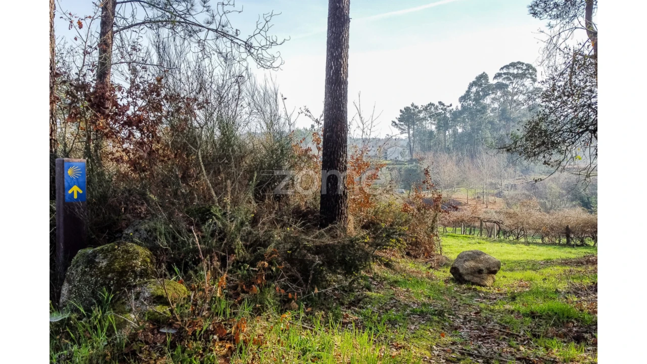 Terreno para Venda em Navió e Vitorino dos Piães Foto 14
