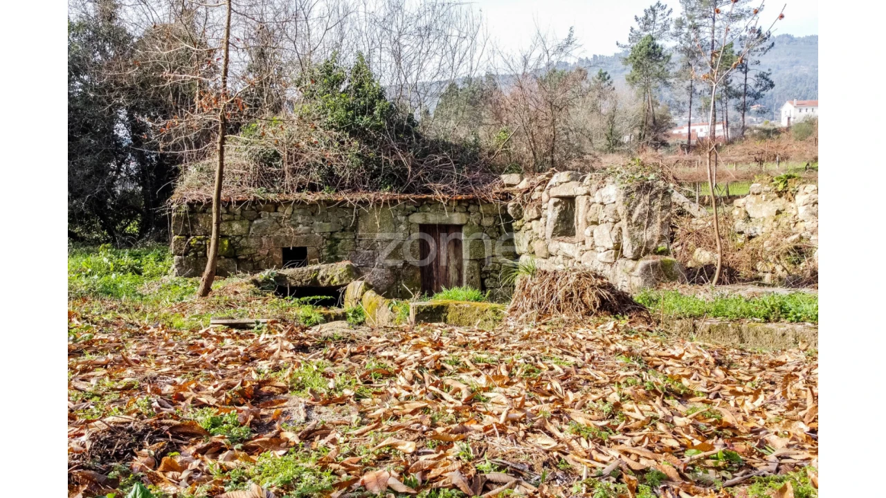 Terreno para Venda em Navió e Vitorino dos Piães Foto 2