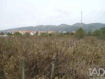 Terreno para Venda em Alcobaça e Vestiaria