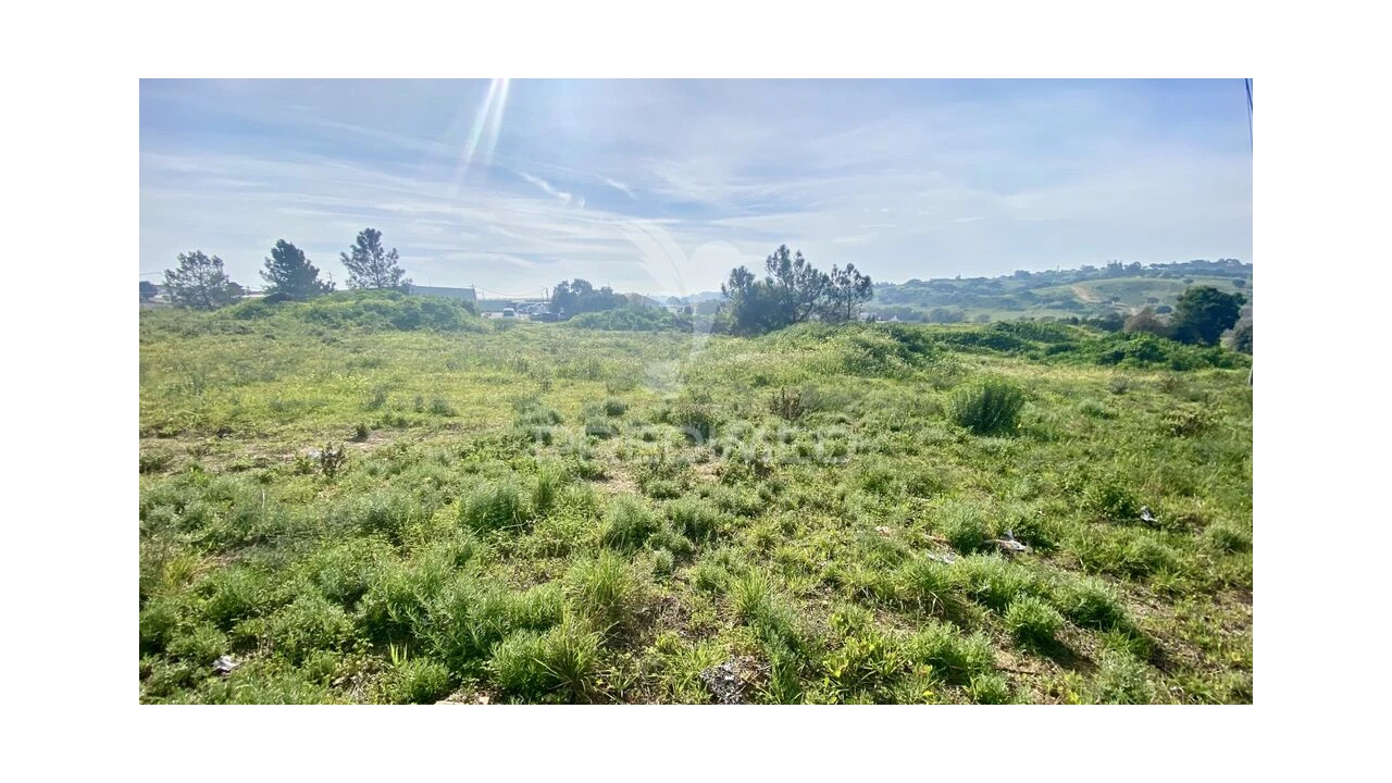 Terreno para Venda em Azambuja Foto 4
