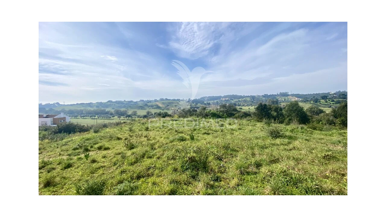 Terreno para Venda em Azambuja Foto 13