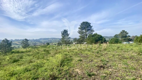 Terreno para Venda em Azambuja