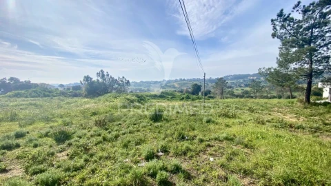 Terreno para Venda em Azambuja