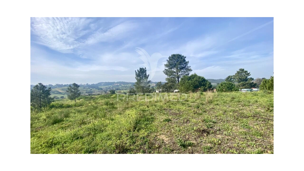 Terreno para Venda em Azambuja Foto 8