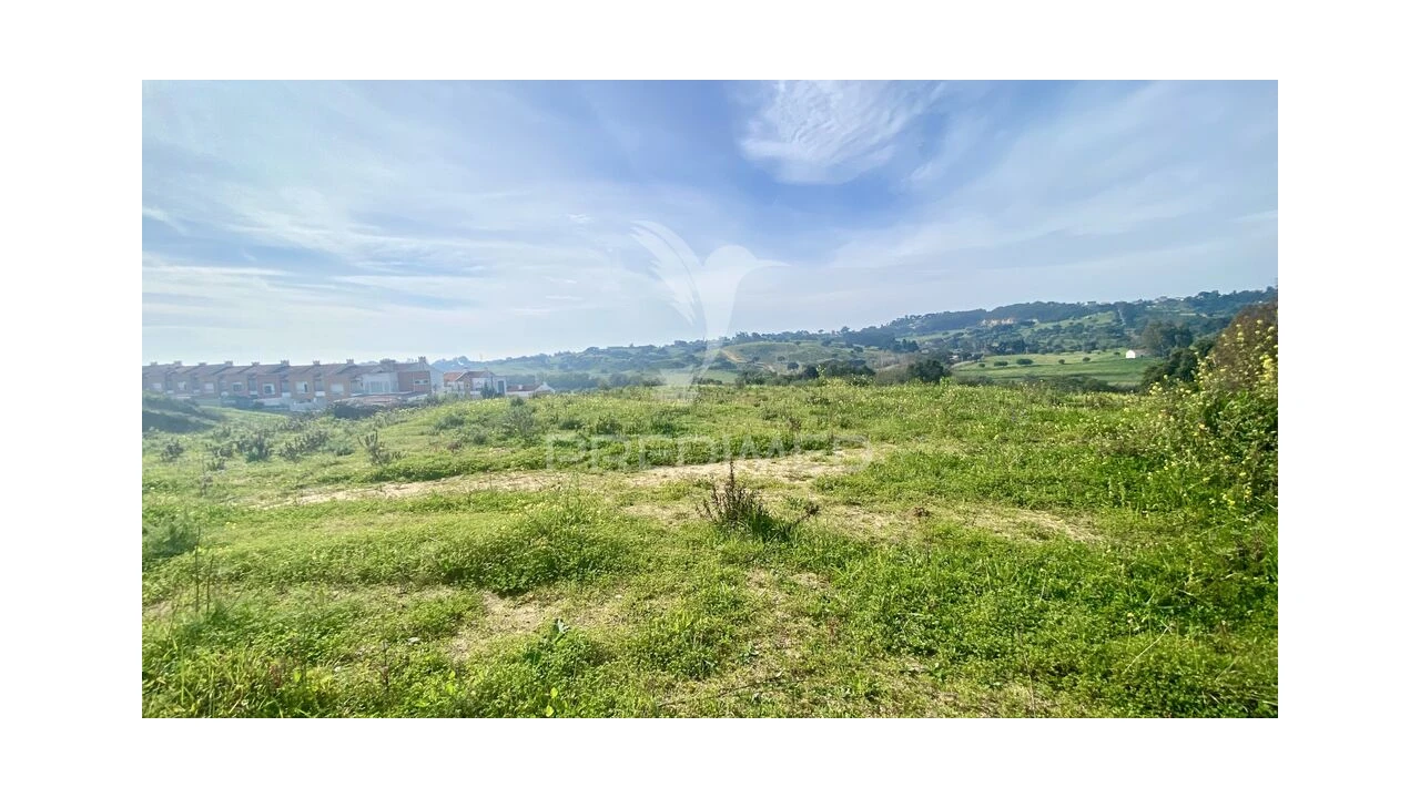 Terreno para Venda em Azambuja Foto 10