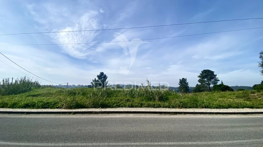 Terreno para Venda em Azambuja Foto 2