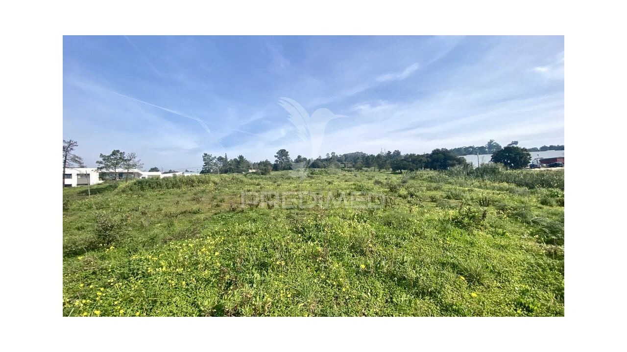 Terreno para Venda em Azambuja Foto 12