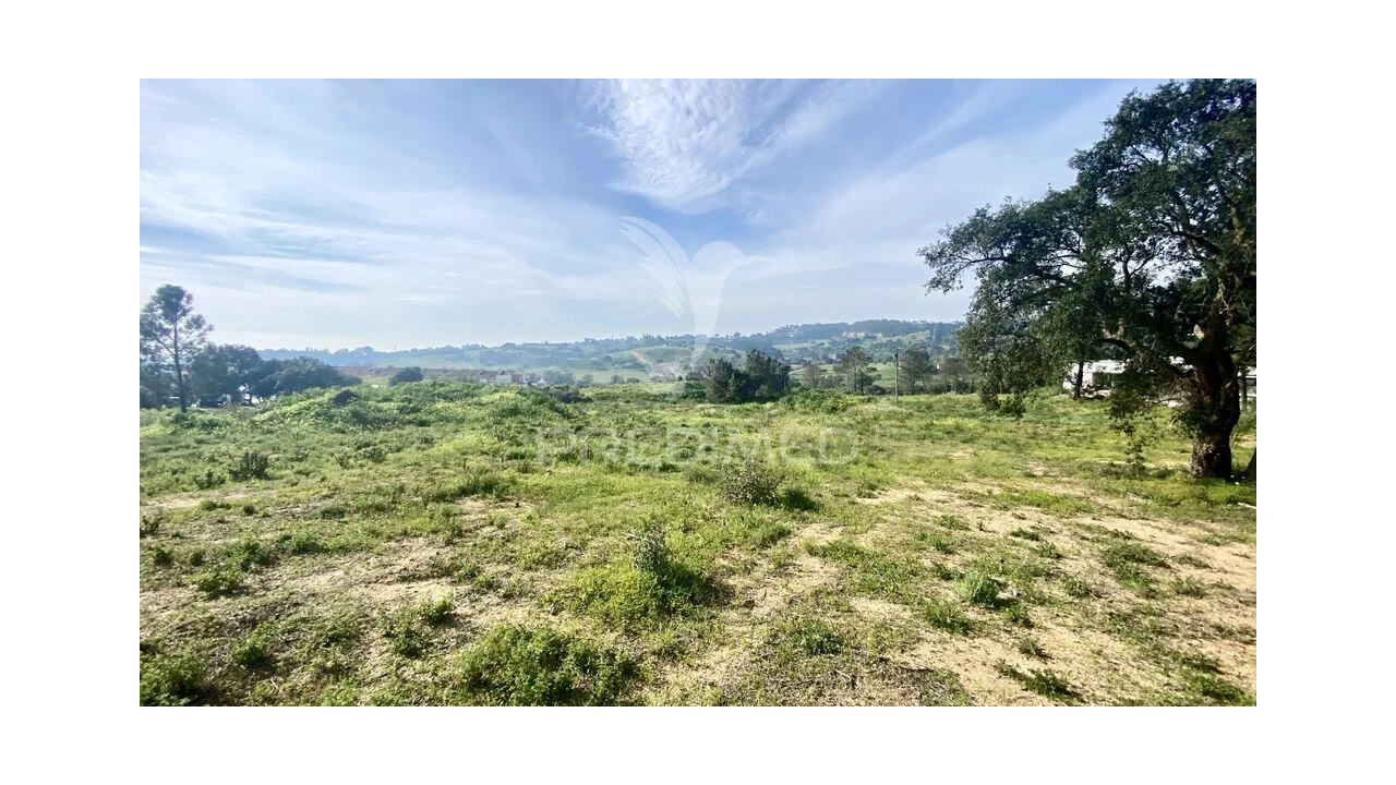 Terreno para Venda em Azambuja Foto 6