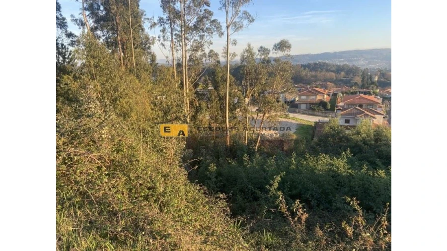 Terreno para Venda em Silvares, Pias, Nogueira e Alvarenga Foto 4