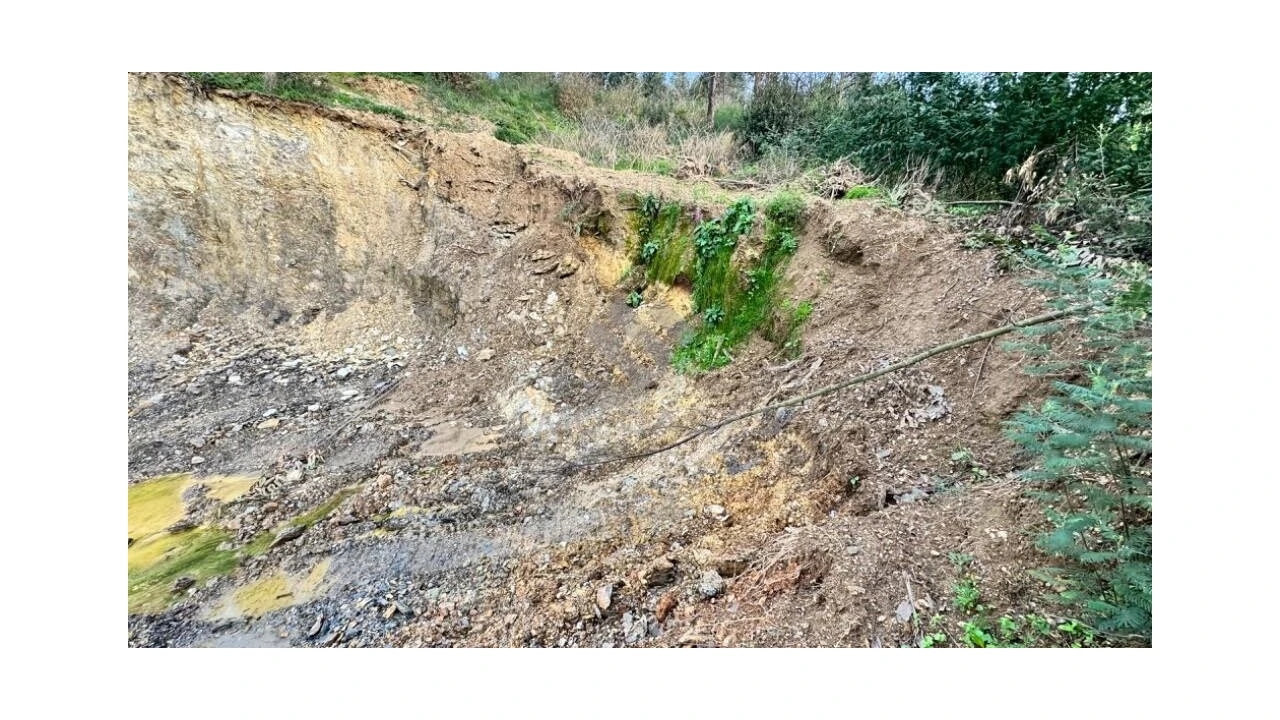 Terreno para Venda em Canelas e Fermelã Foto 19