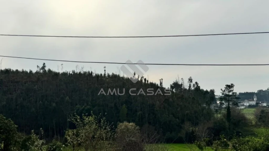 Terreno para Venda em Canelas e Fermelã Foto 2