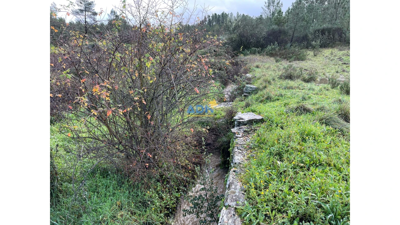 Terreno para Venda em Salgueiro do Campo Foto 9