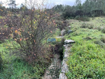 Terreno para Venda em Salgueiro do Campo