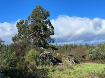 Terreno para Venda em Salgueiro do Campo