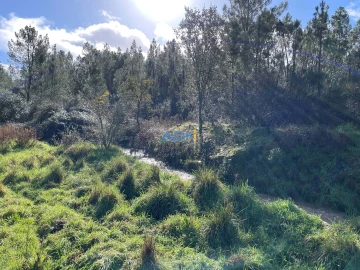Terreno para Venda em Salgueiro do Campo