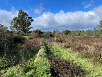 Terreno para Venda em Salgueiro do Campo