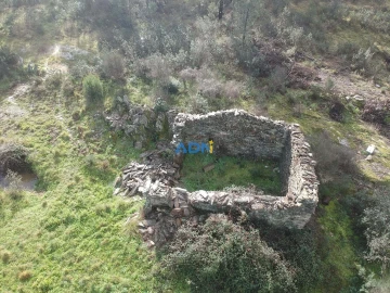 Terreno para Venda em Salgueiro do Campo