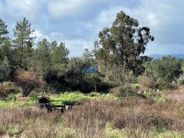 Terreno para Venda em Salgueiro do Campo