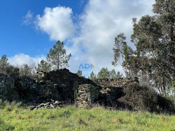 Terreno para Venda em Salgueiro do Campo