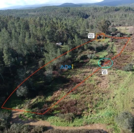 Terreno para Venda em Salgueiro do Campo