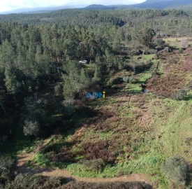 Terreno para Venda em Salgueiro do Campo