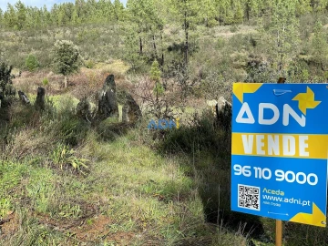 Terreno para Venda em Salgueiro do Campo