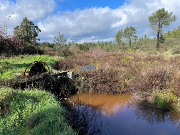 Terreno para Venda em Salgueiro do Campo