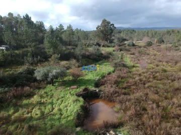 Terreno para Venda em Salgueiro do Campo