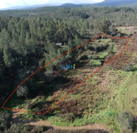 Terreno para Venda em Salgueiro do Campo