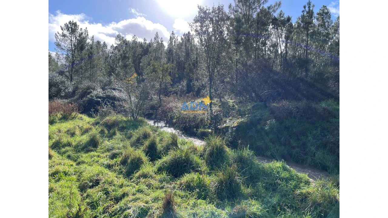 Terreno para Venda em Salgueiro do Campo Foto 11