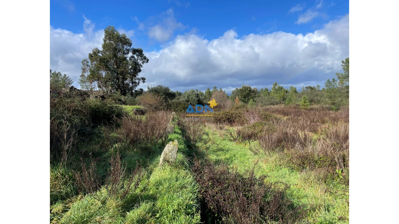 Terreno para Venda em Salgueiro do Campo Foto 10