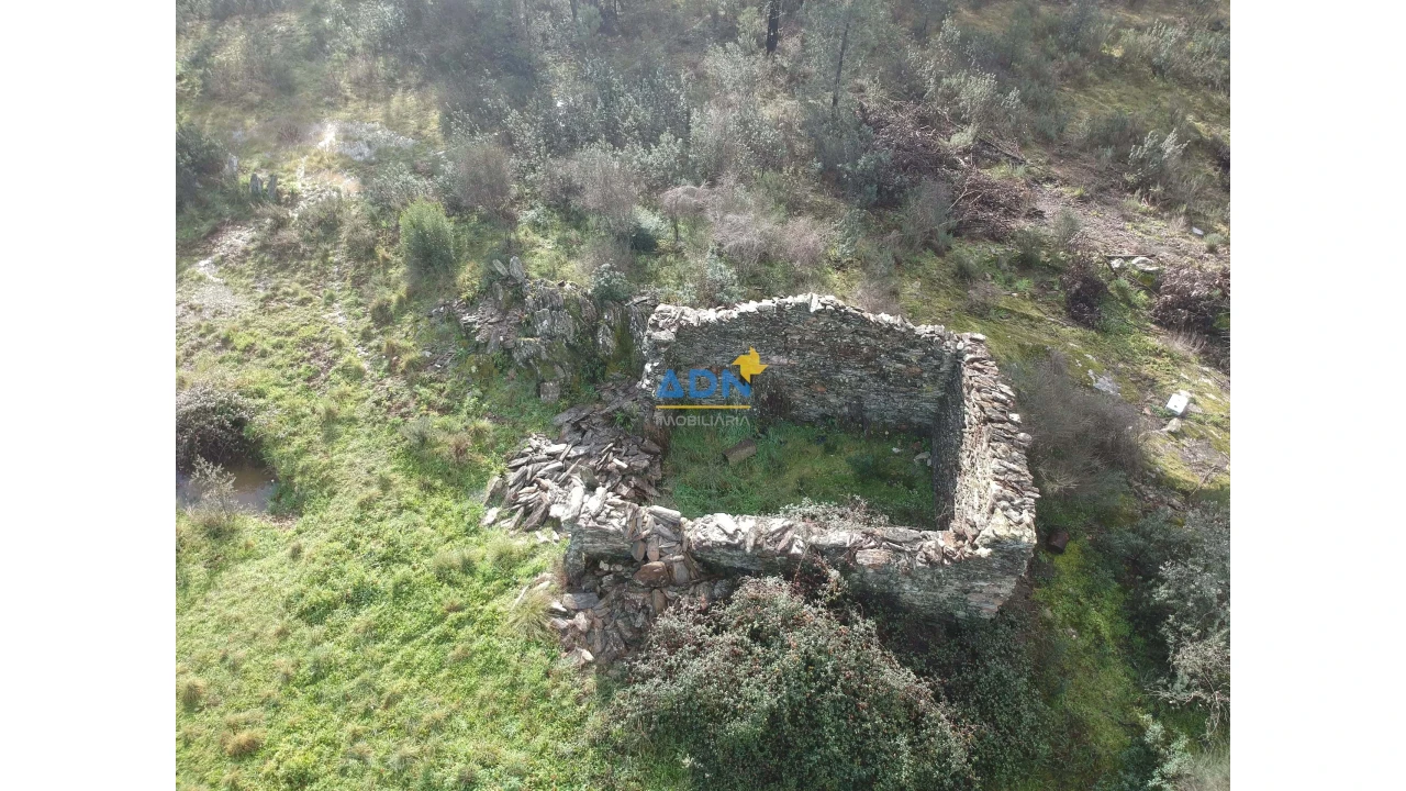 Terreno para Venda em Salgueiro do Campo Foto 4