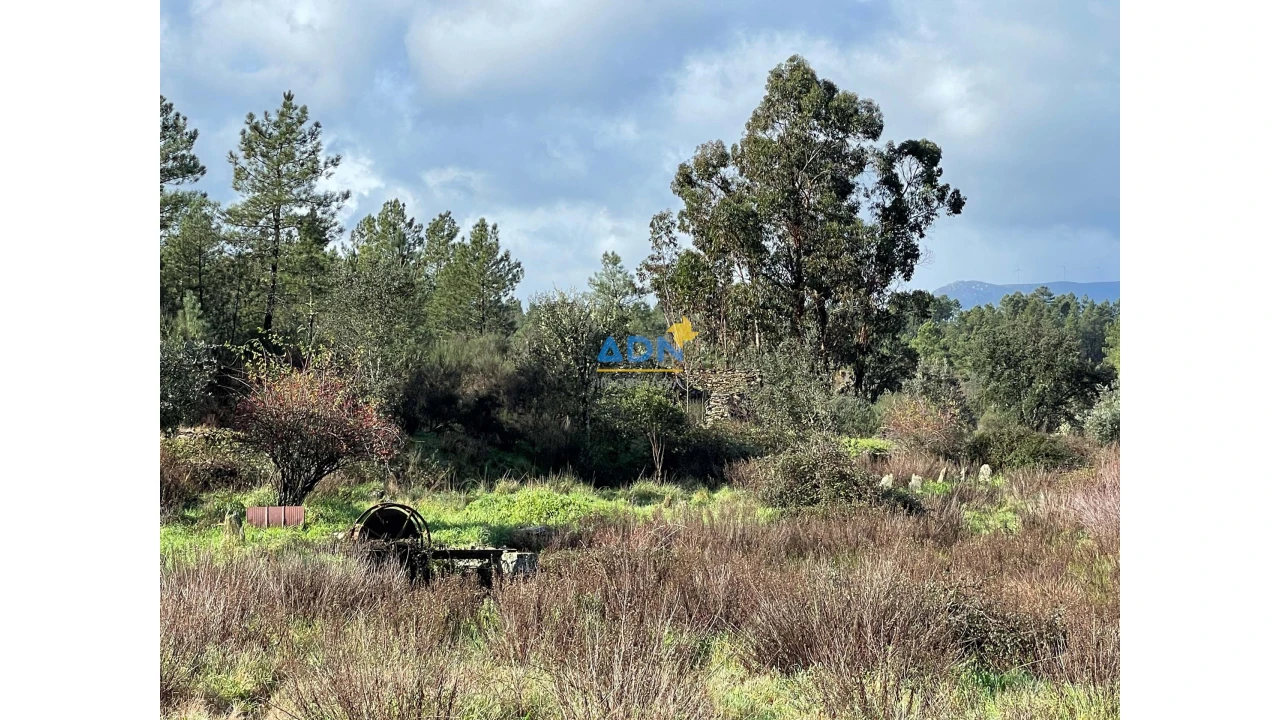 Terreno para Venda em Salgueiro do Campo Foto 12