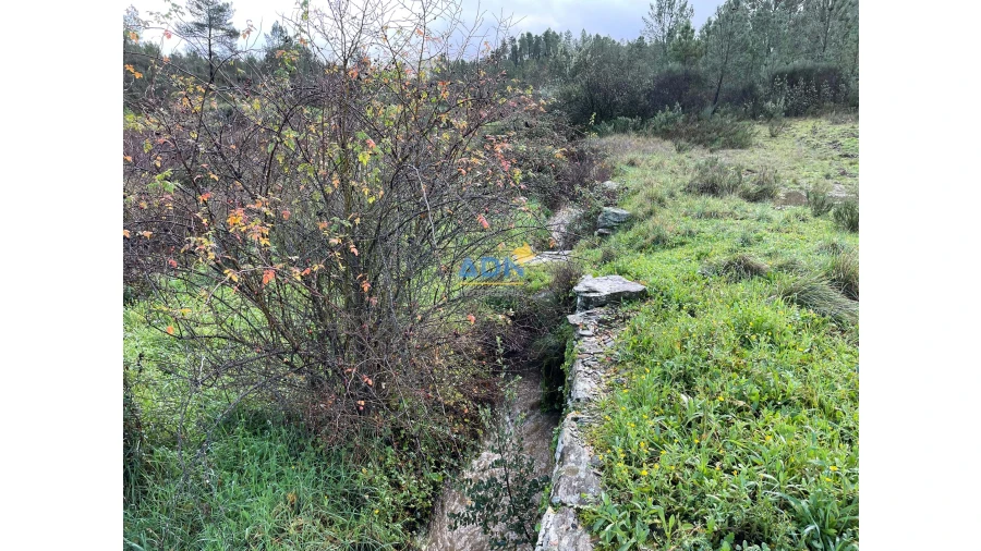 Terreno para Venda em Salgueiro do Campo Foto 9