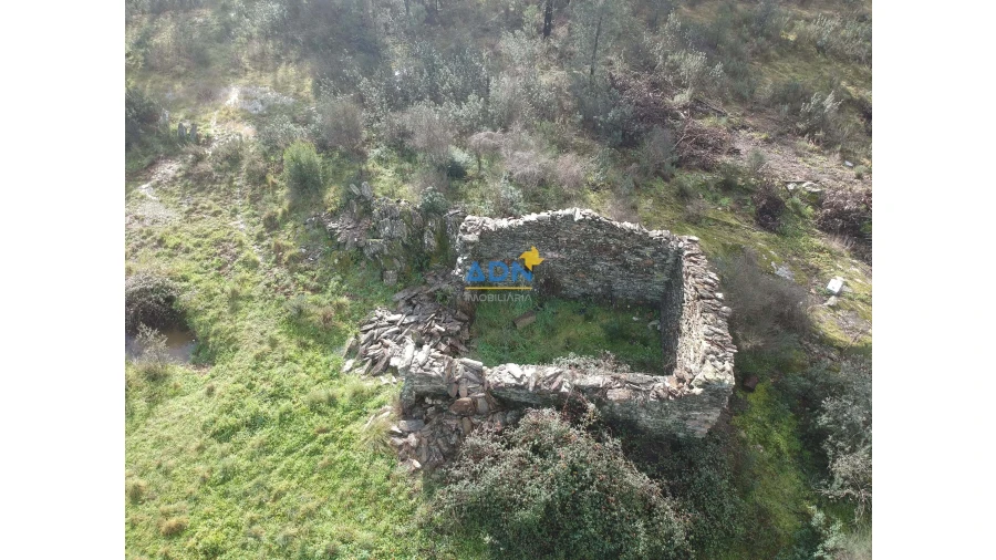 Terreno para Venda em Salgueiro do Campo Foto 4