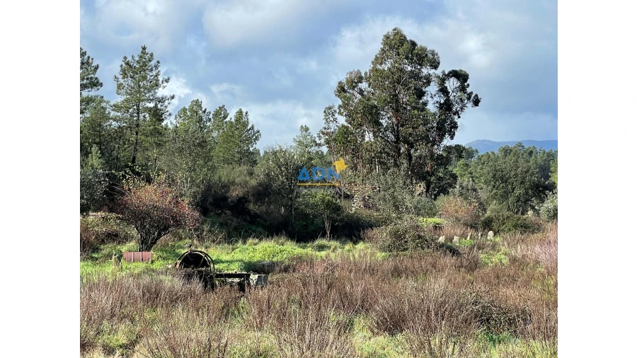 Terreno para Venda em Salgueiro do Campo Foto 12