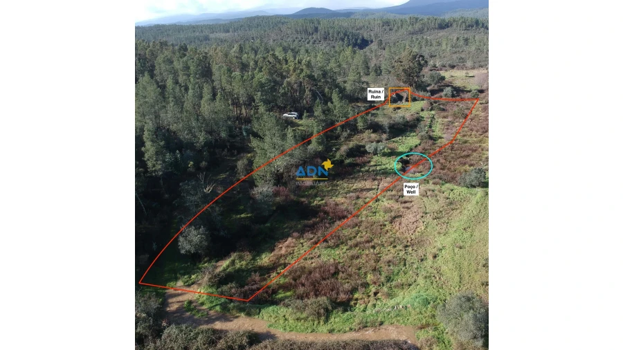 Terreno para Venda em Salgueiro do Campo Foto 8