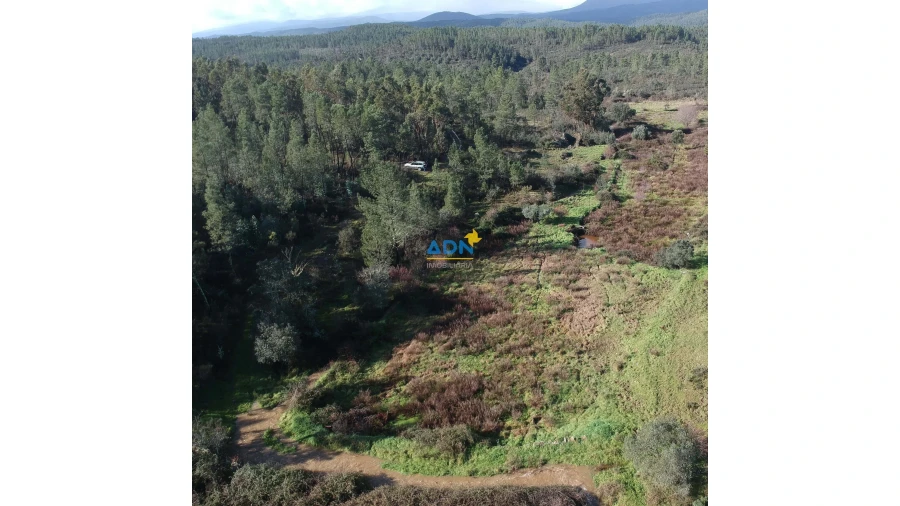 Terreno para Venda em Salgueiro do Campo Foto 6
