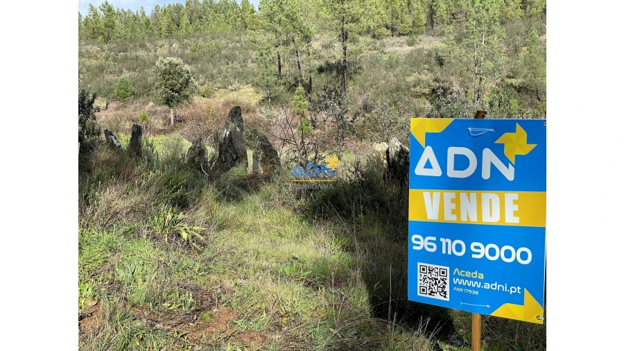 Terreno para Venda em Salgueiro do Campo Foto 13