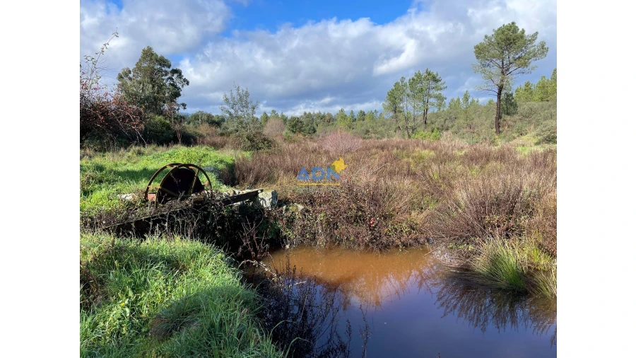 Terreno para Venda em Salgueiro do Campo