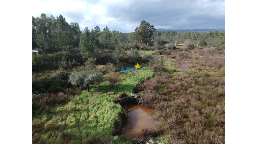 Terreno para Venda em Salgueiro do Campo Foto 5
