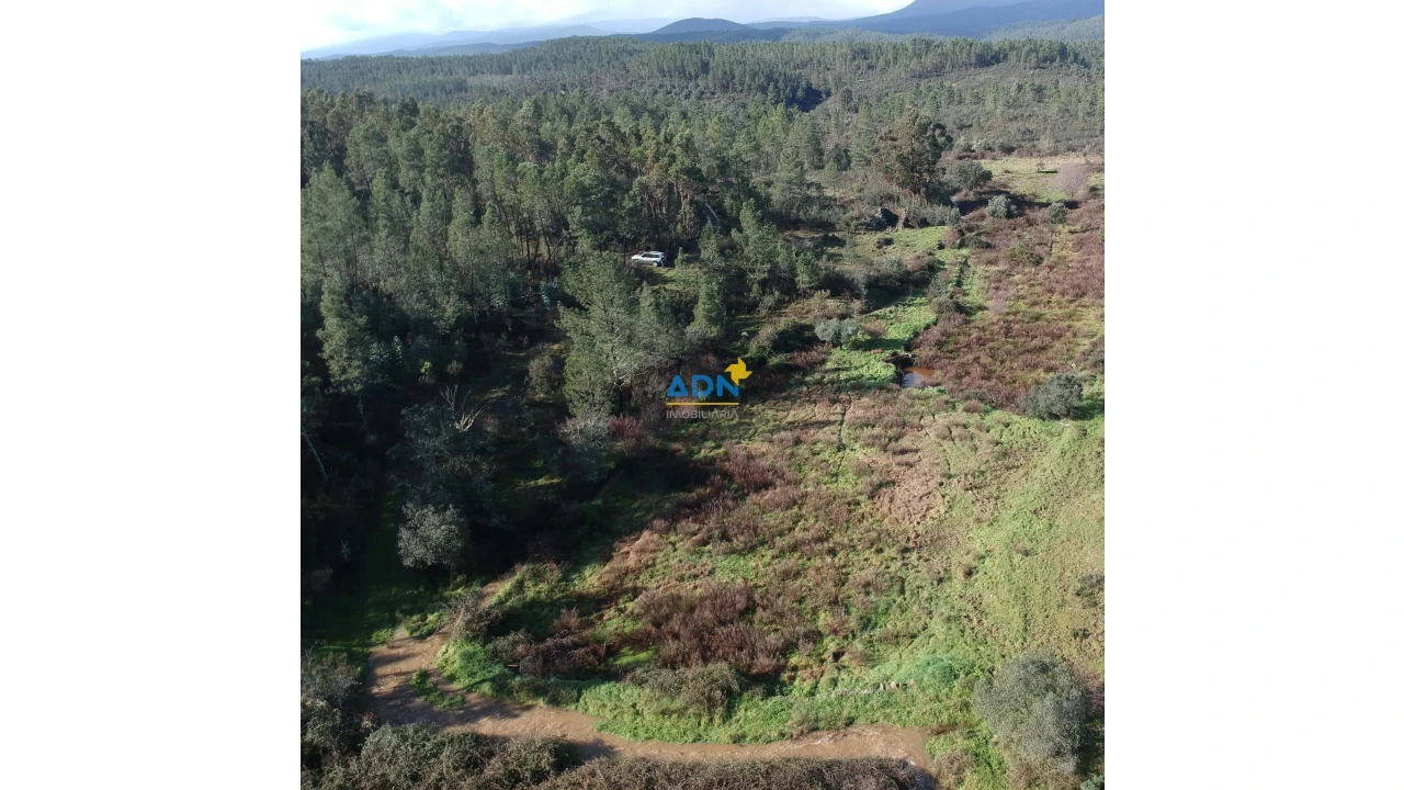 Terreno para Venda em Salgueiro do Campo Foto 6