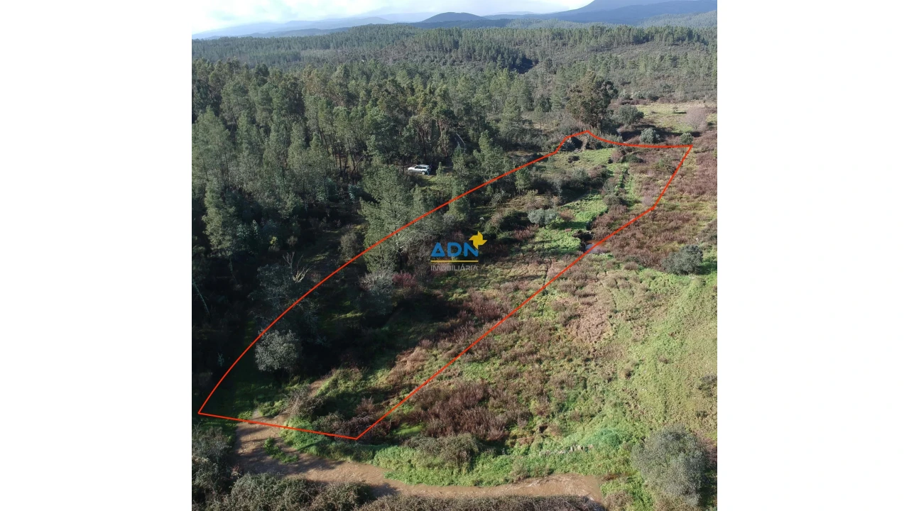 Terreno para Venda em Salgueiro do Campo Foto 7