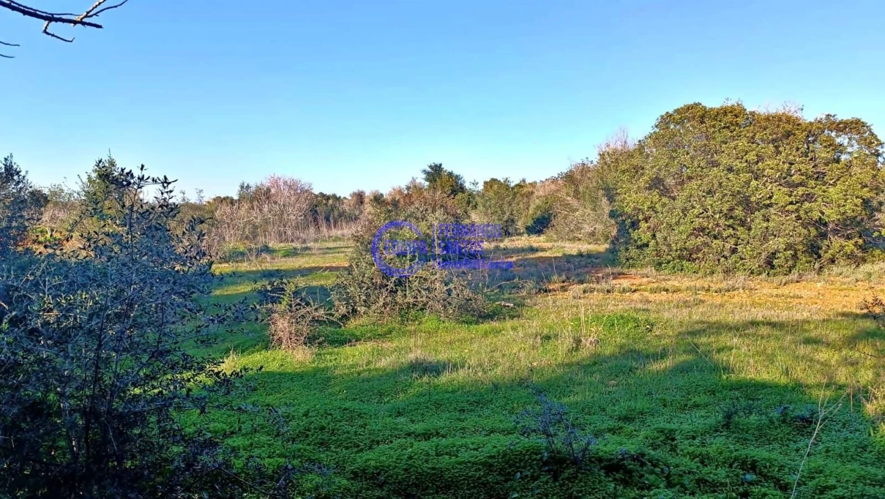 Terreno para Venda em Guia Foto 4