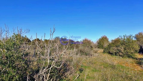Terreno para Venda em Guia