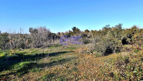 Terreno para Venda em Guia